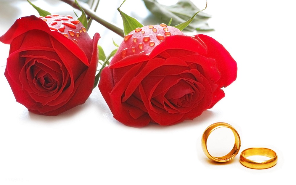انتخاب منحصربفردترین و جذابترین حلقه عروسی